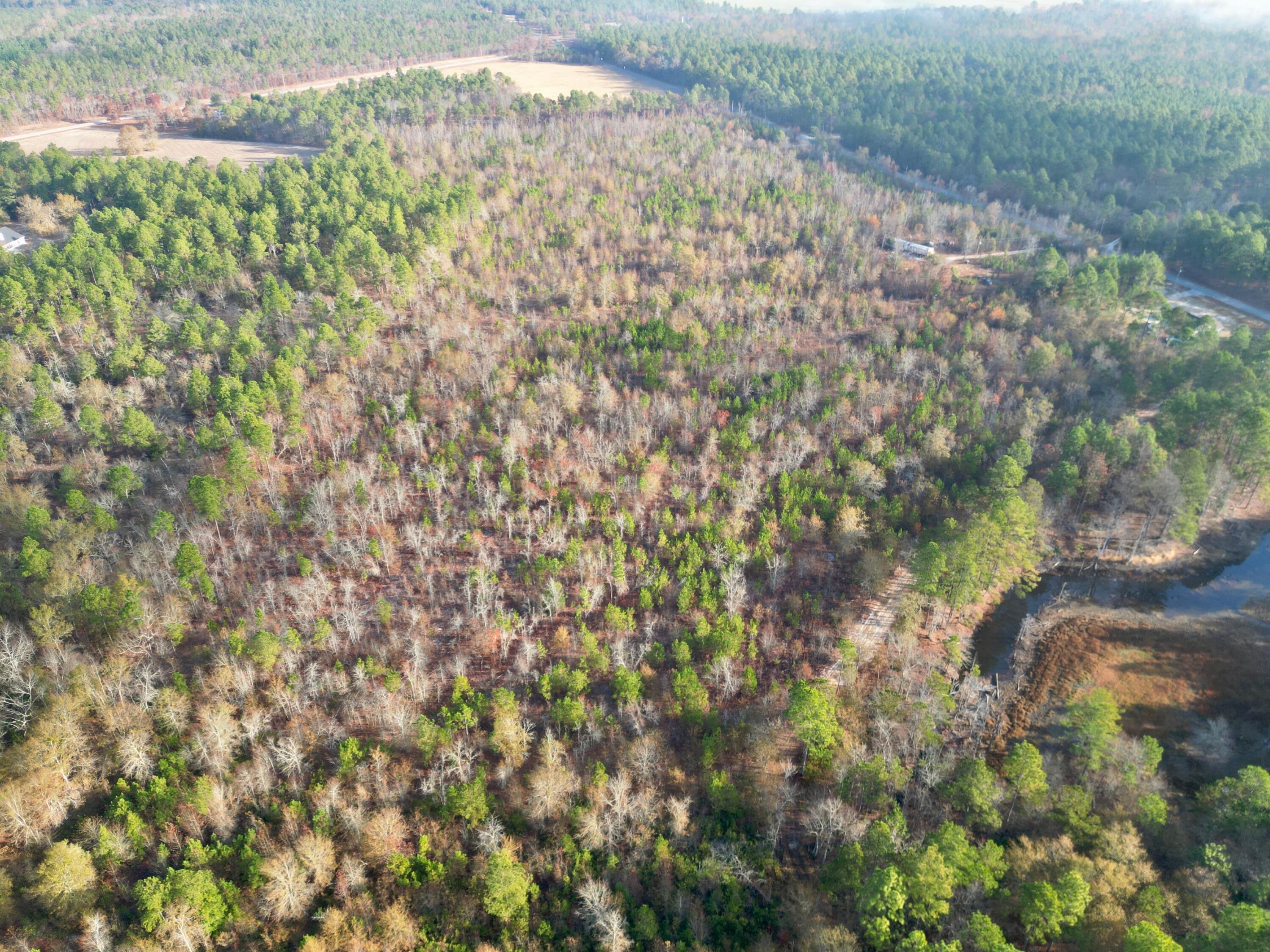 3391 Davis Bridge Road Williston, SC 29853 - Photo 6 of 16 dji-fly-20251124-090618-468-176399376747