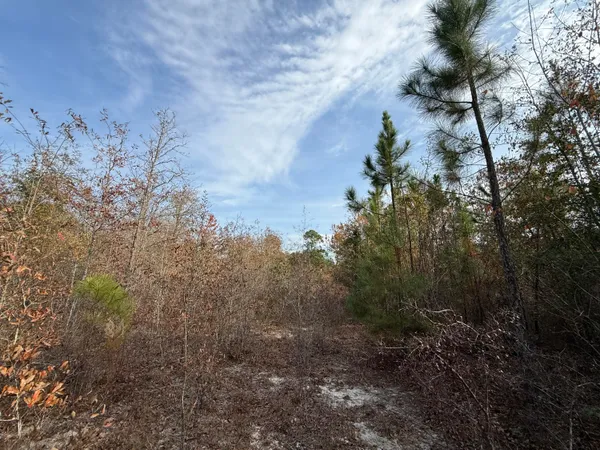 $130,000 | 3391 Davis Bridge Road, Williston, SC 29853