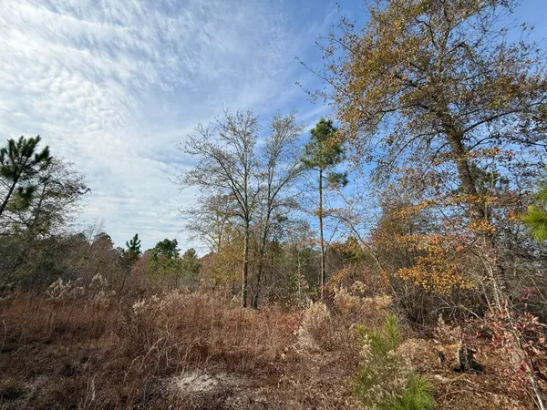 $130,000 | 3391 Davis Bridge Road, Williston, SC 29853