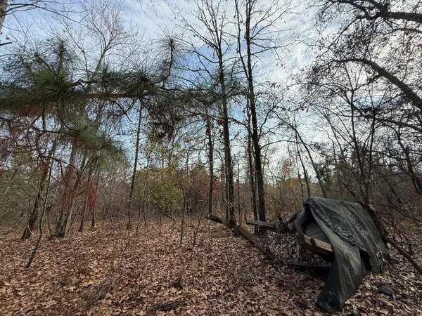 $130,000 | 3391 Davis Bridge Road, Williston, SC 29853