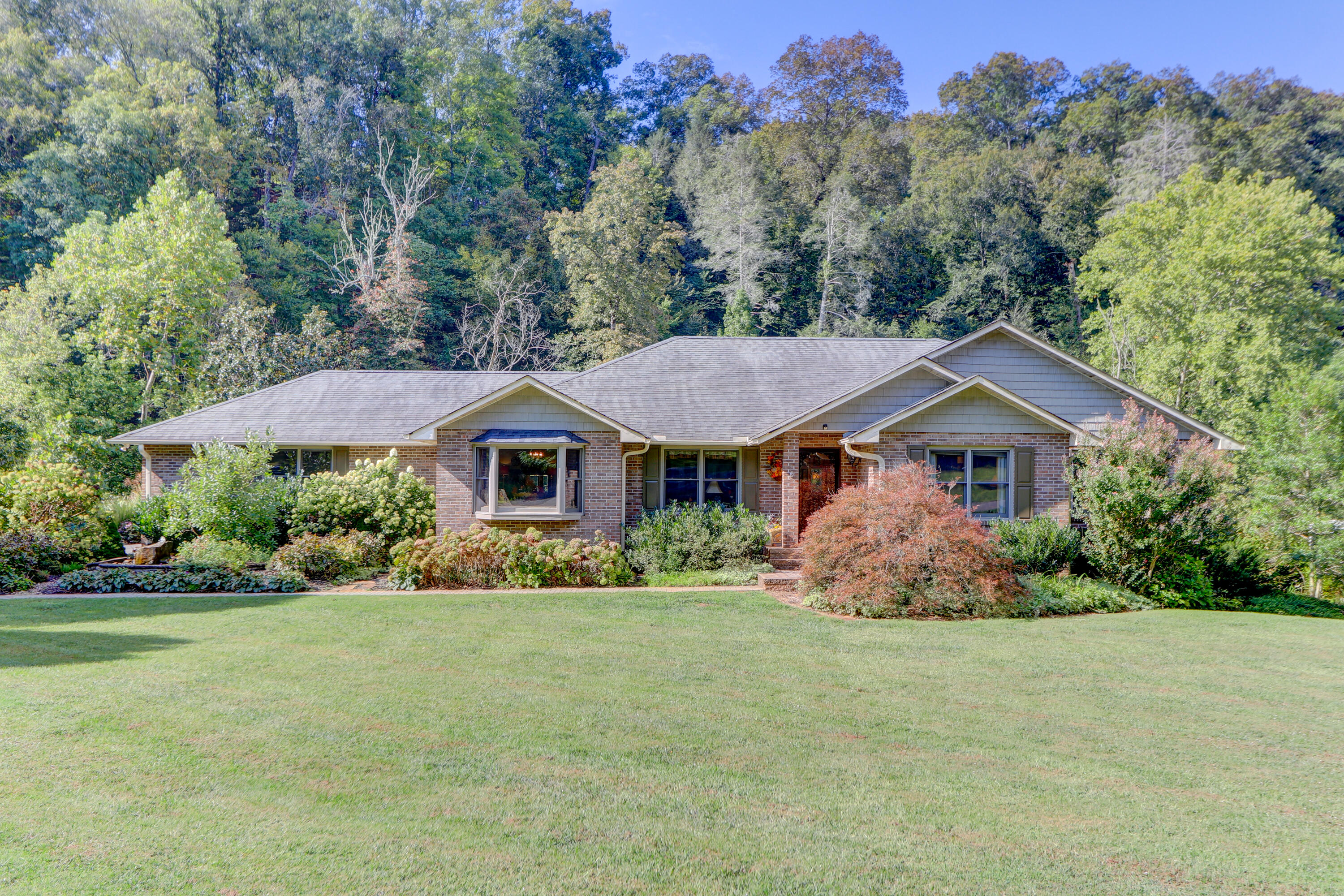 Positive Perceptions-1