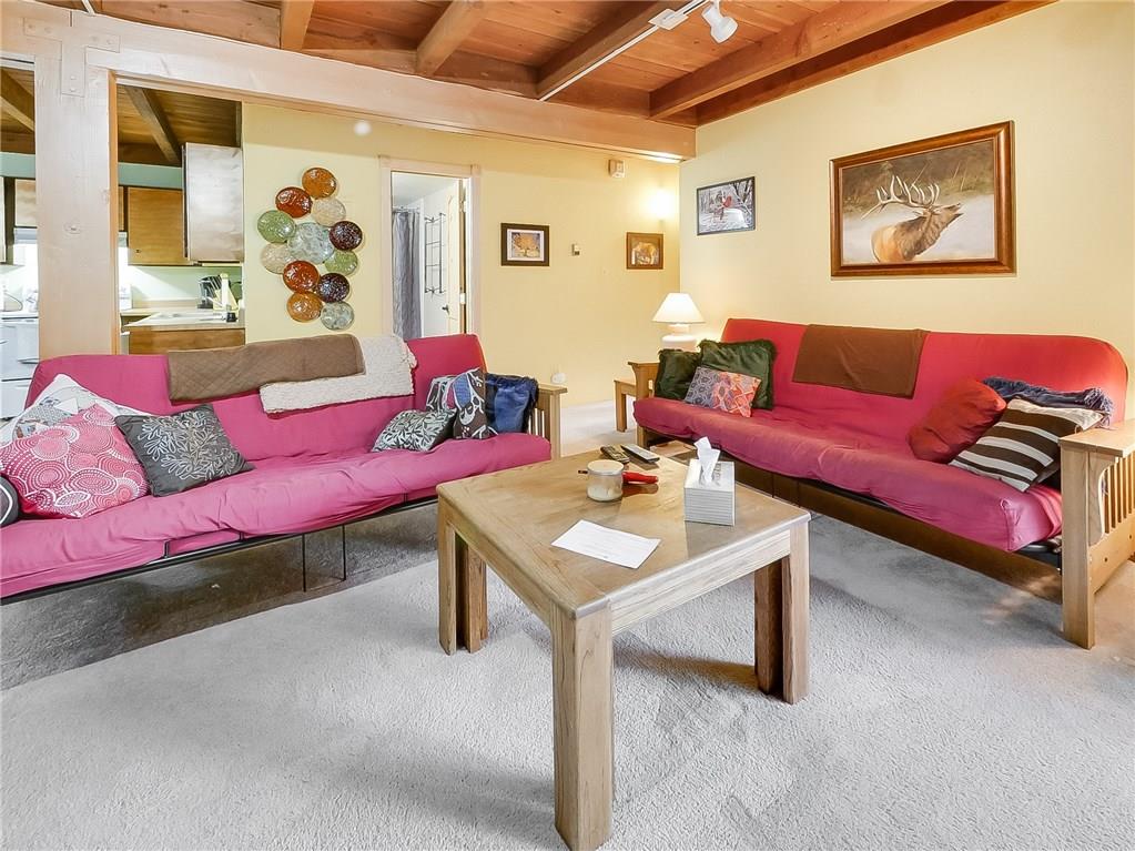 8100 Ryan Gulch Road, Unit E206 Silverthorne, CO 80498 - Photo 2 of 32 a living room with furniture and a rug