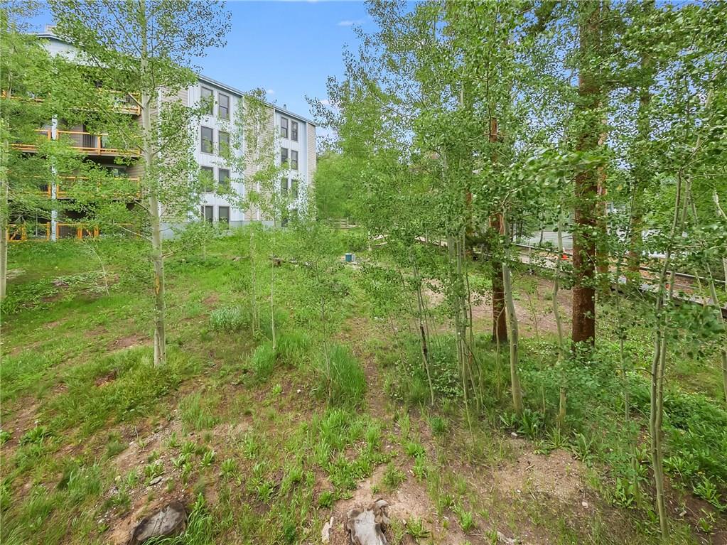 8100 Ryan Gulch Road, Unit E206 Silverthorne, CO 80498 - Photo 20 of 32 a view of a garden