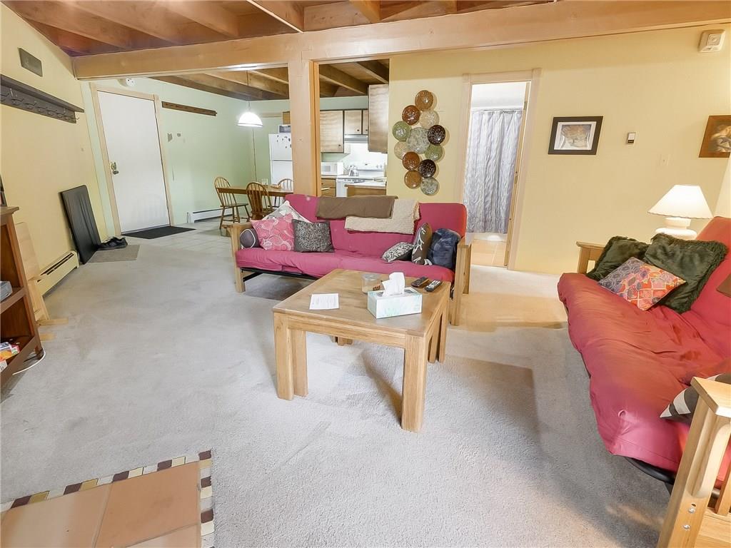8100 Ryan Gulch Road, Unit E206 Silverthorne, CO 80498 - Photo 23 of 32 a living room with furniture and a window
