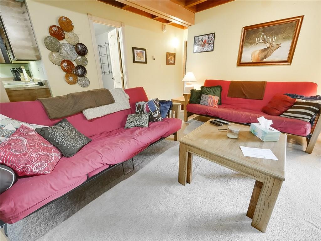 8100 Ryan Gulch Road, Unit E206 Silverthorne, CO 80498 - Photo 4 of 32 a living room with furniture and a couch