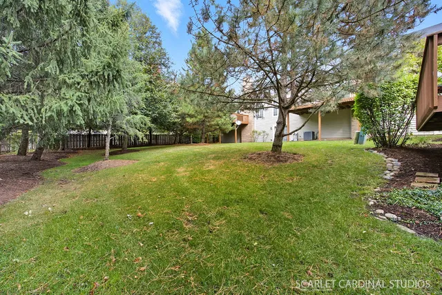 a house with lots of trees