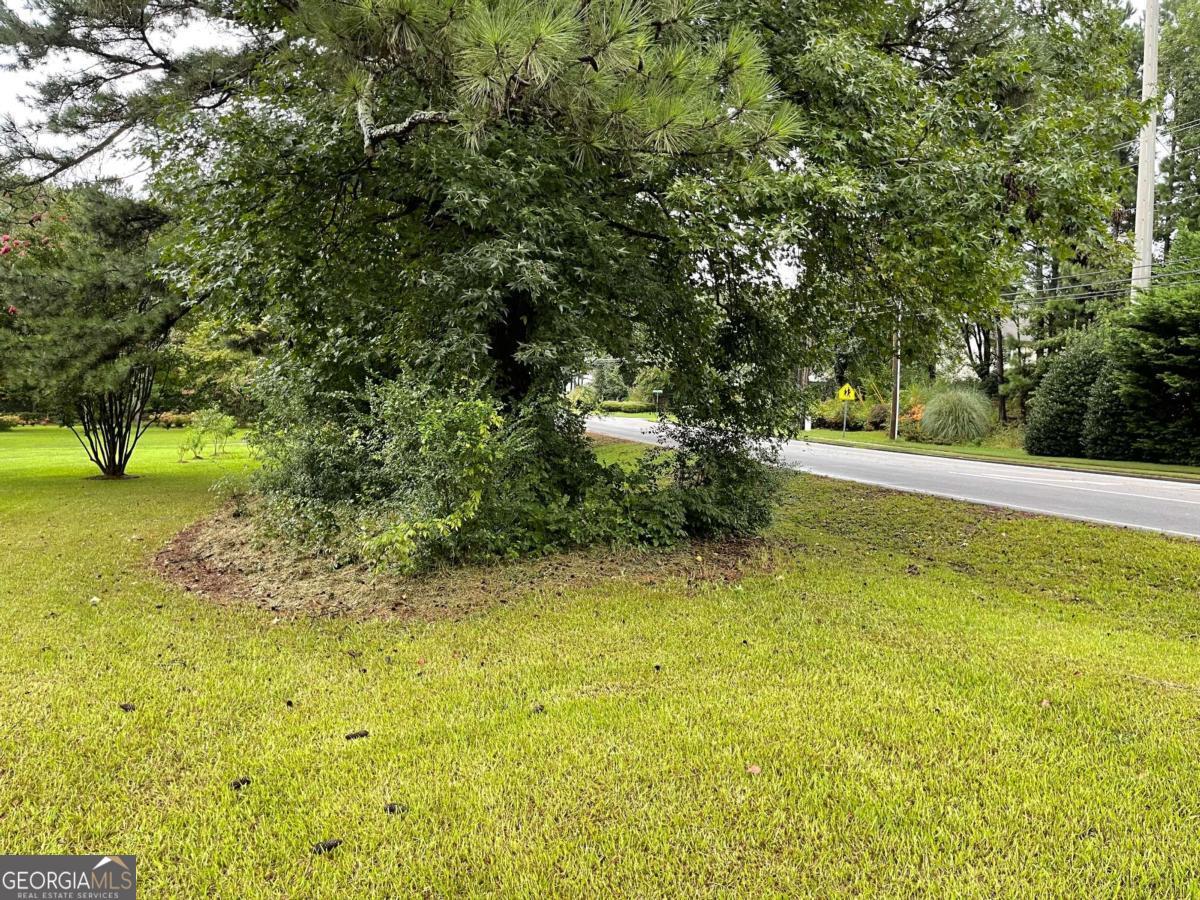 1031 Rock Springs Road Lawrenceville, GA 30043 - Photo 5 of 12 a view of a yard with an outdoor space