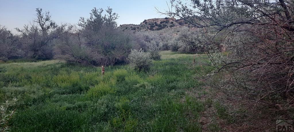 Tbd Southeast Tbd Se Lonesome Whistle Road Rye, CO 81069 - Photo 25 of 42