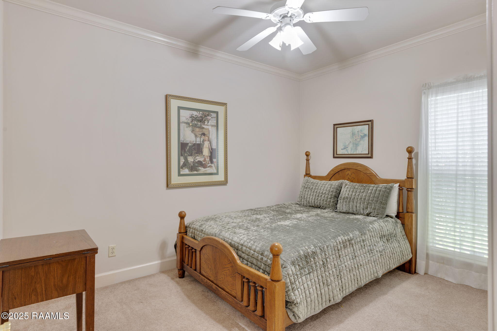 302 Geoffroy Street Erath, LA 70533 - Photo 22 of 31 22-web-or-mls-302 Geoffroy St-22