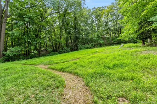 a view of a yard with a trees
