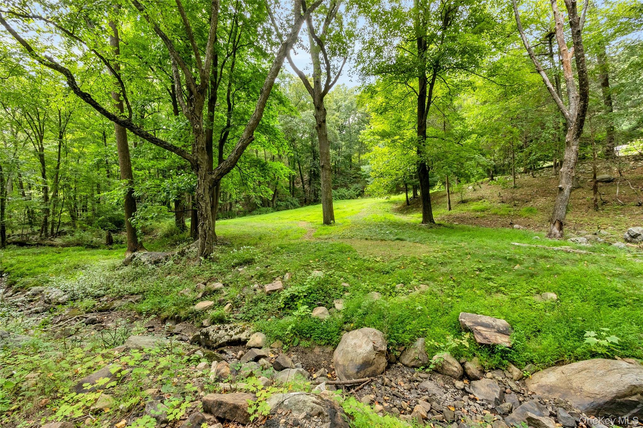 55 Mountain Farm Road Tuxedo Park, NY 10987 - Photo 36 of 42 a big yard with lots of green space and deers