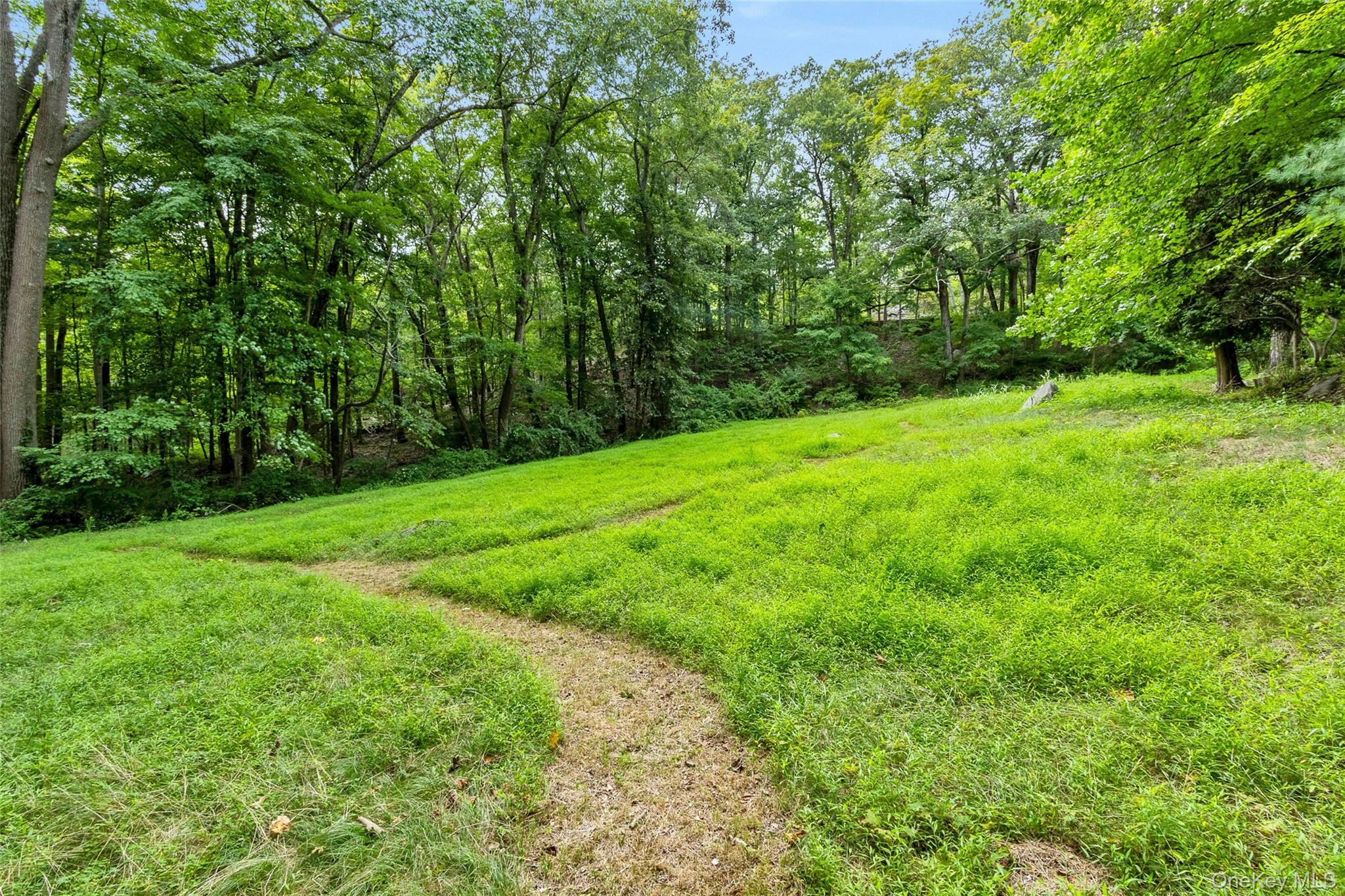 55 Mountain Farm Road Tuxedo Park, NY 10987 - Photo 37 of 42 a view of a yard with a trees