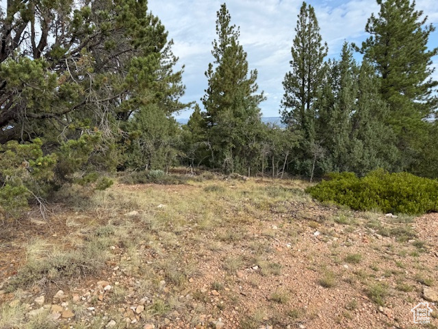 Crest Court Alton, UT 84710 - Photo 6 of 17 View of nature