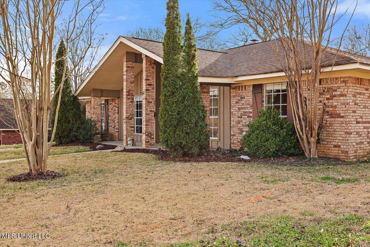 137 Longmeadow Road Brandon, MS 39042 - Photo 4 of 40 04-137 Longmeadow Rd