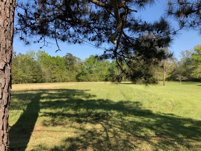 45304 Rogers Road Hammond, LA 70401 - Photo 7 of 12 Gallery Image 7