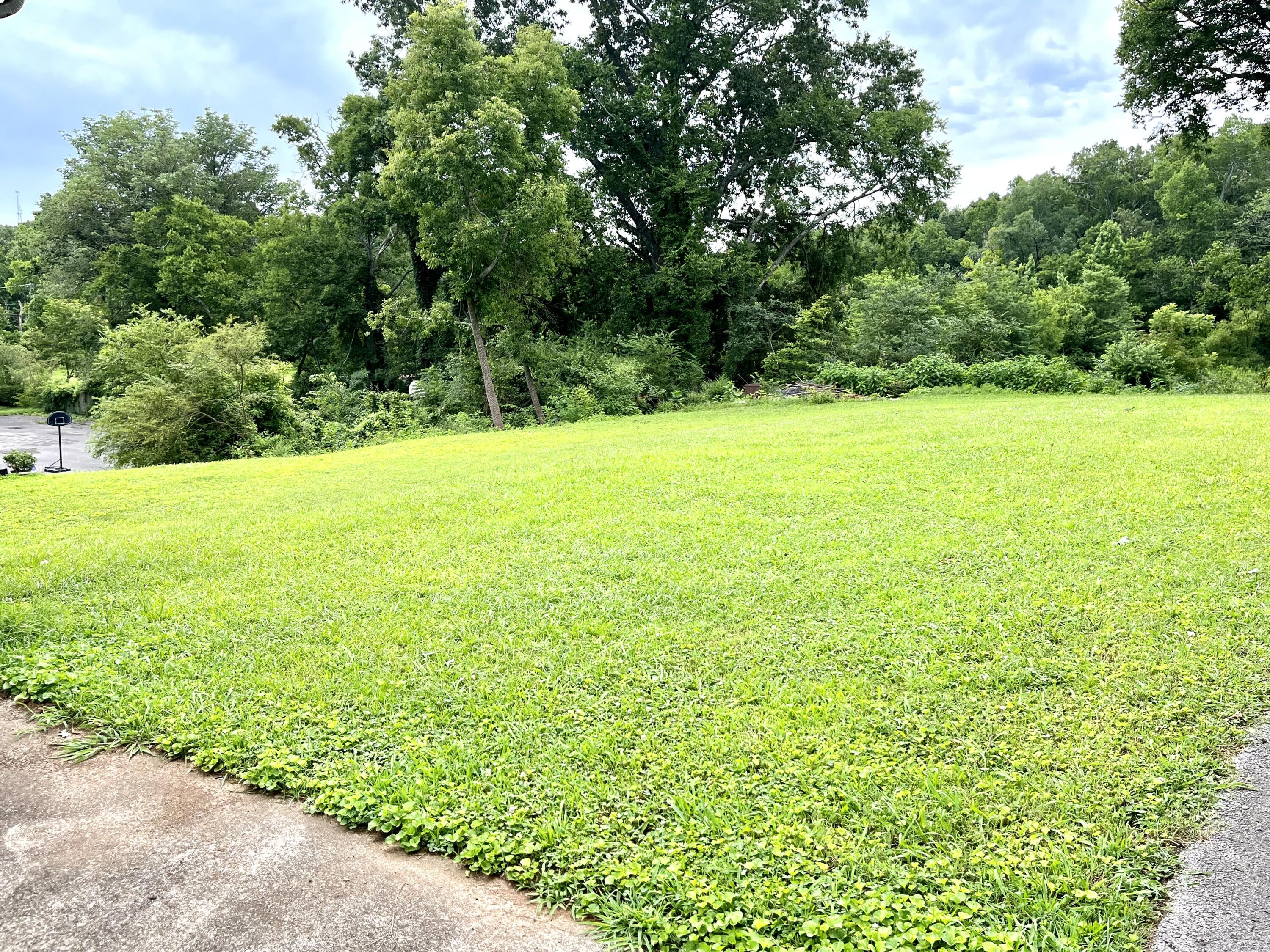 149 Mountain View Circle Flintstone, GA 30725 - Photo 24 of 24 149 Mtn Back Yd