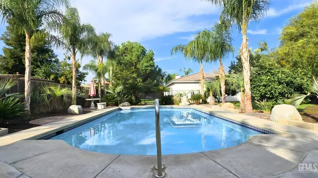 a small garden covered with flower plants