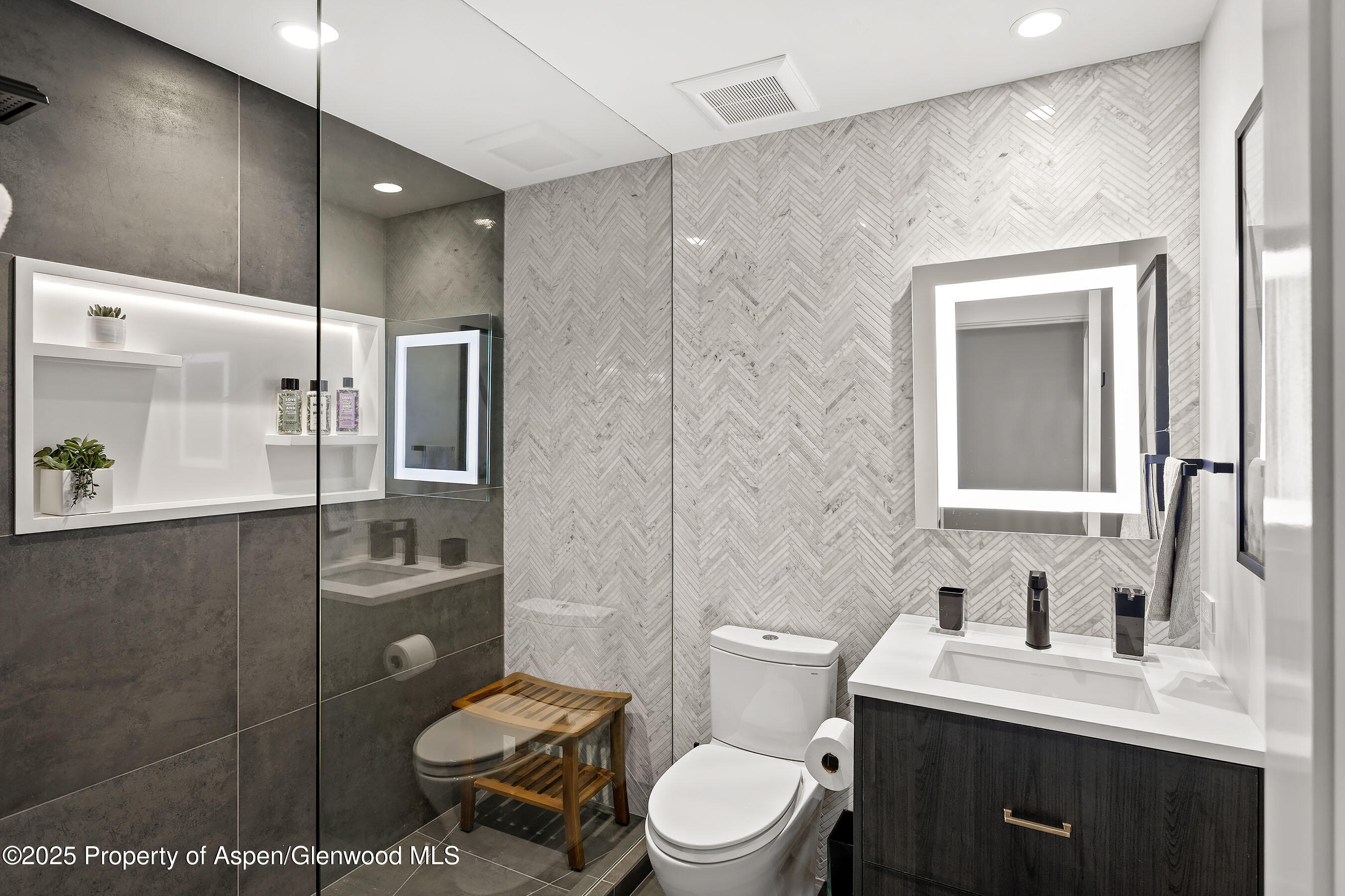 450 South Original Street, Unit 8 Aspen, CO 81611 - Photo 16 of 19 a bathroom with a toilet a sink shower and mirror