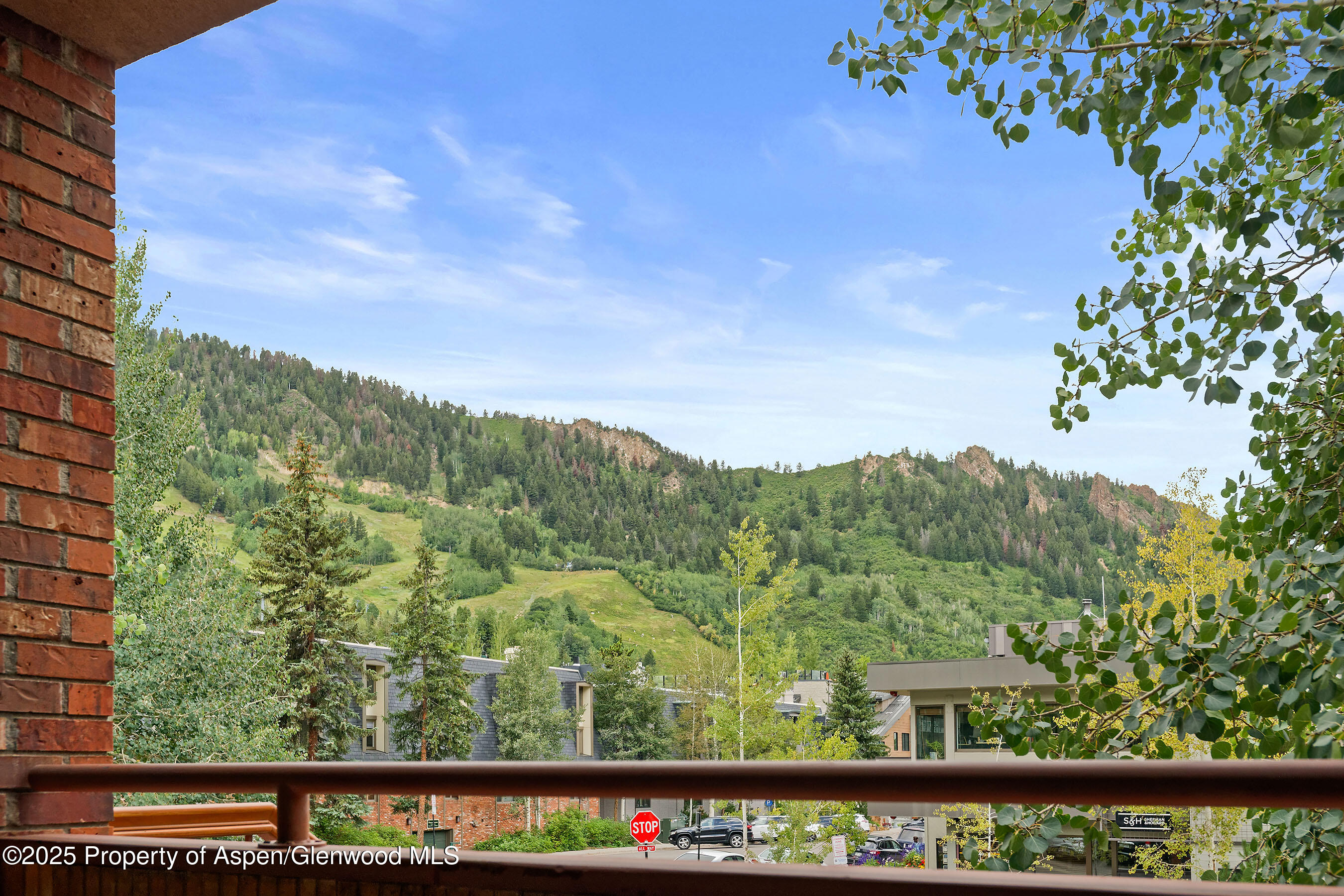 450 South Original Street, Unit 8 Aspen, CO 81611 - Photo 5 of 19 a view of a yard with an outdoor seating