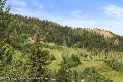 a view of a yard with a trees