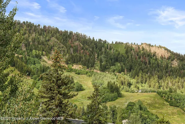 a view of a yard with a trees