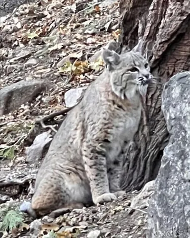 a view of washer and dryer