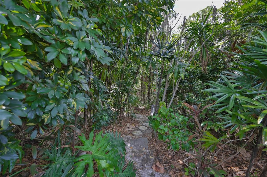 1107 Opal Lane Sun City Center, FL 33573 - Photo 57 of 72 a backyard of a house with lots of green space