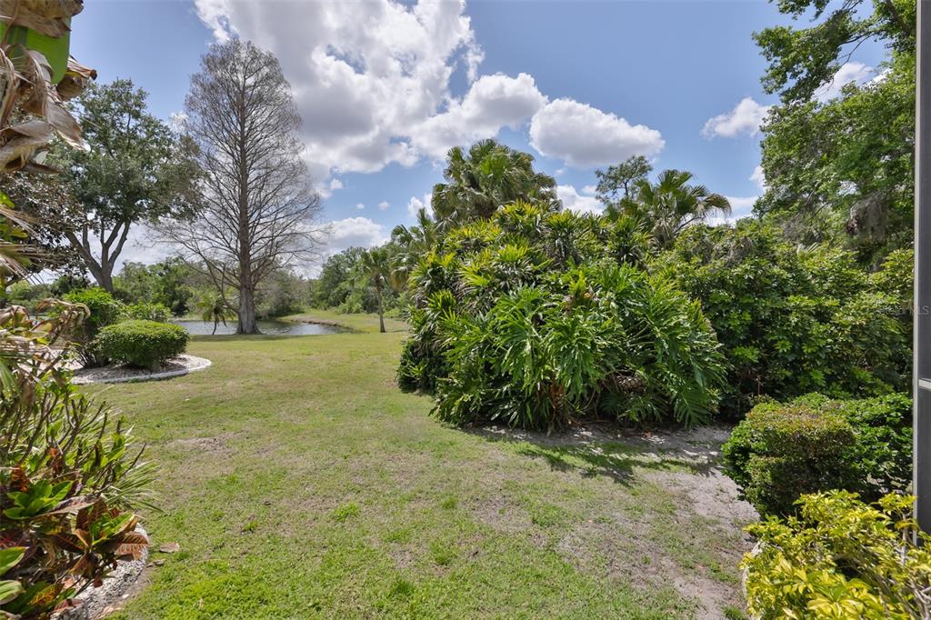 1107 Opal Lane Sun City Center, FL 33573 - Photo 58 of 72 a view of a yard with yellow plants