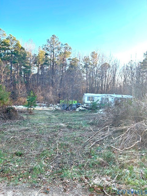 a view of backyard with green space