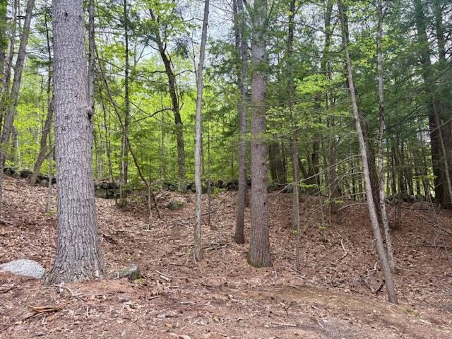 0 Route 114 North Sutton, NH 03260 - Photo 8 of 13