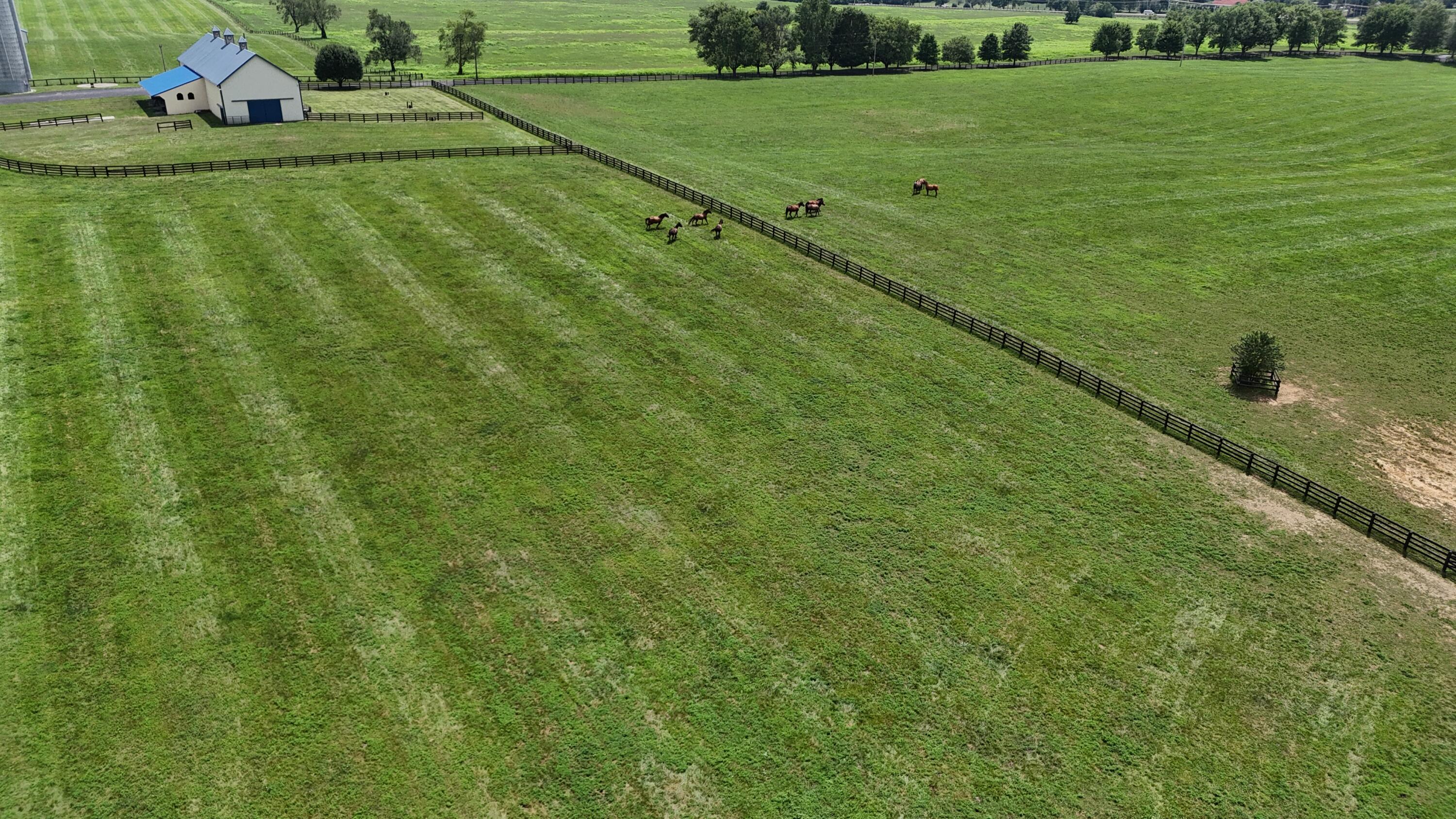 3469 Winchester Road Lexington, KY 40509 - Photo 23 of 86 DJI_20250725140650_0205_D