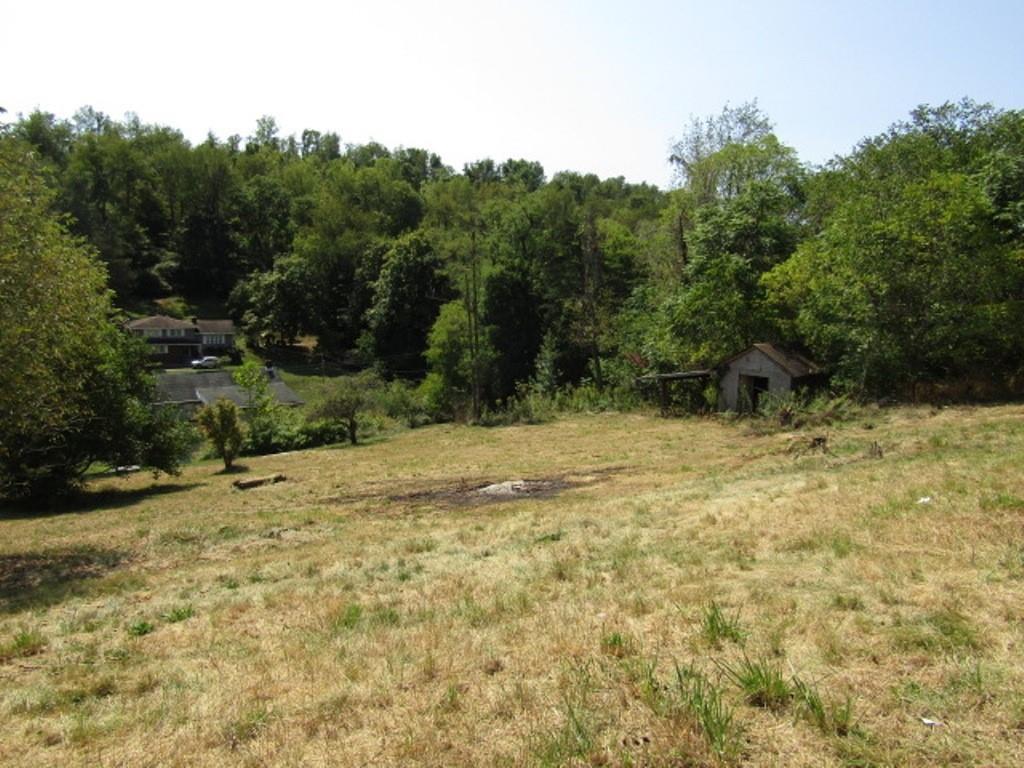 211 Lenkey Road Vanderbilt, PA 15486 - Photo 6 of 38 a view of a backyard of a house