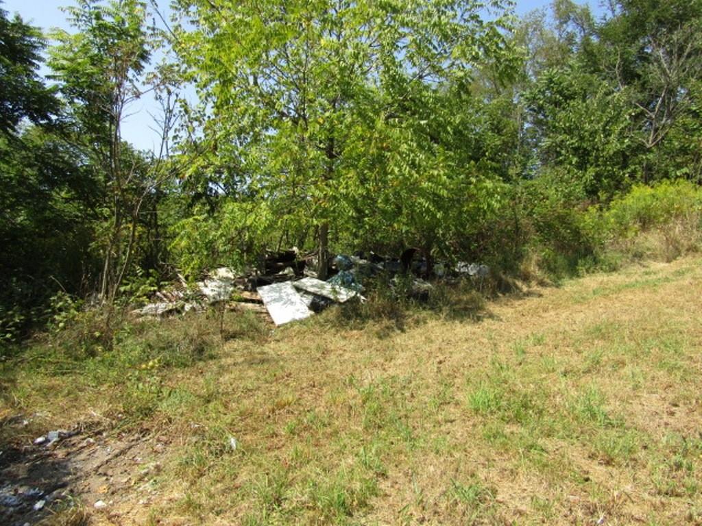 211 Lenkey Road Vanderbilt, PA 15486 - Photo 8 of 38 a backyard of a house with large trees and plants
