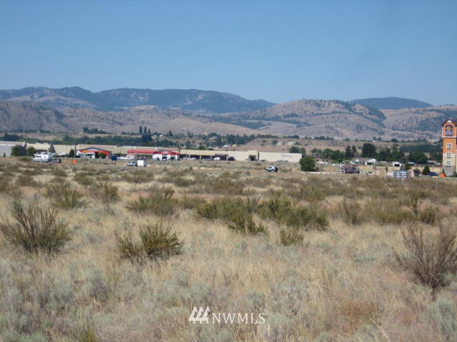 1 Engh Road Omak, WA 98841 - Photo 8 of 9 a view of city and mountain