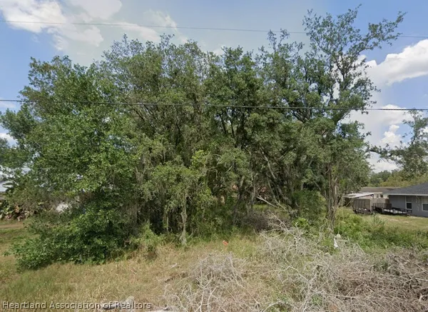 a view of a yard with large trees