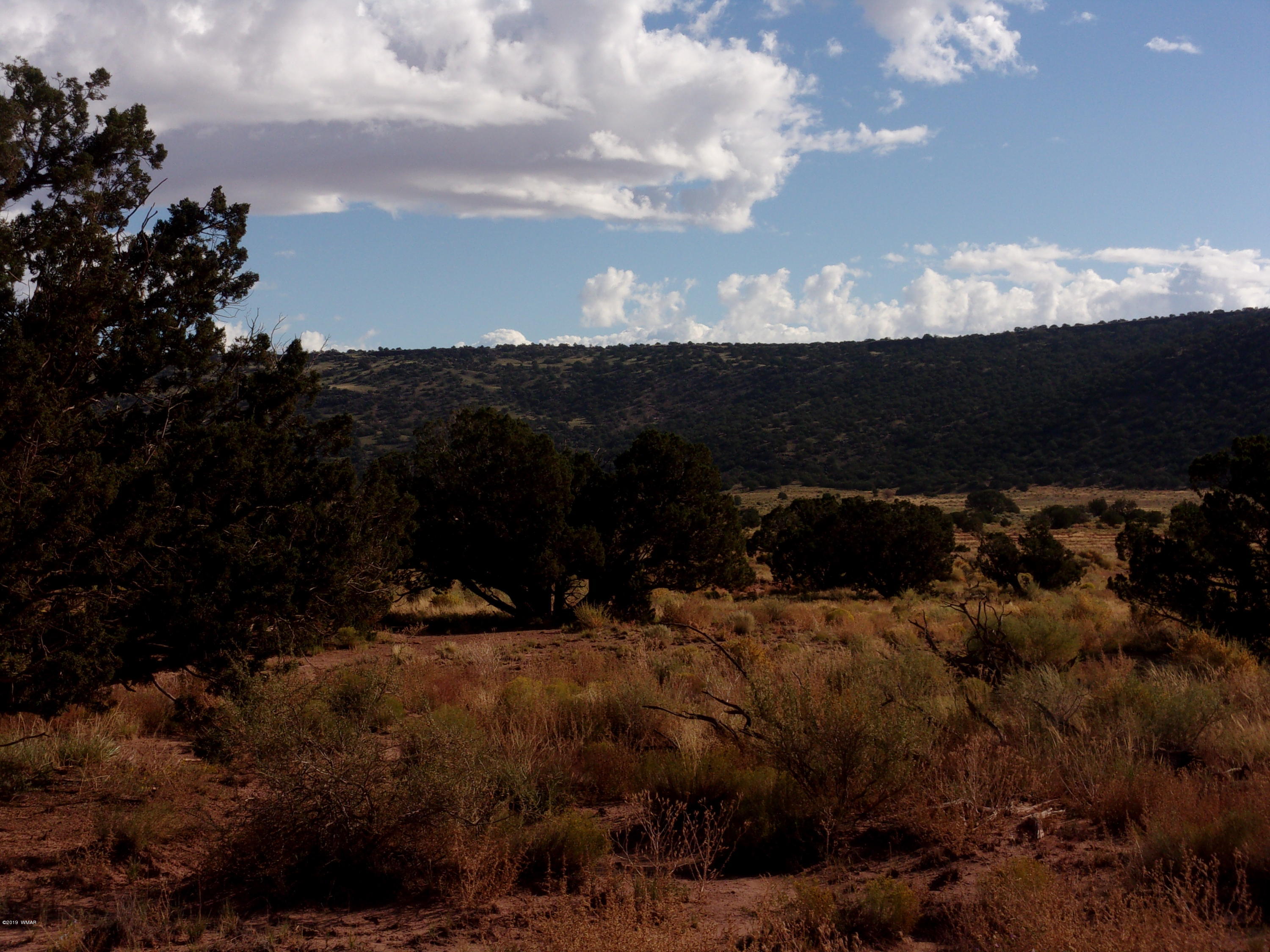 4357 El Dorado Road Snowflake, AZ 85937 - Photo 3 of 8 a view of outdoor space and green space