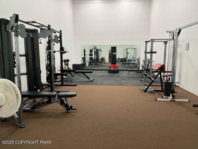 2196 Scarborough Way Bushkill, PA 18324 - Photo 41 of 58 a view of a room with gym equipment