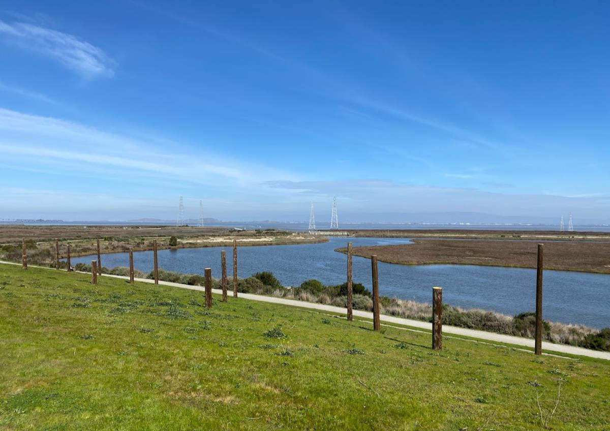 2505 Greer Road Palo Alto, CA 94303 - Photo 56 of 65