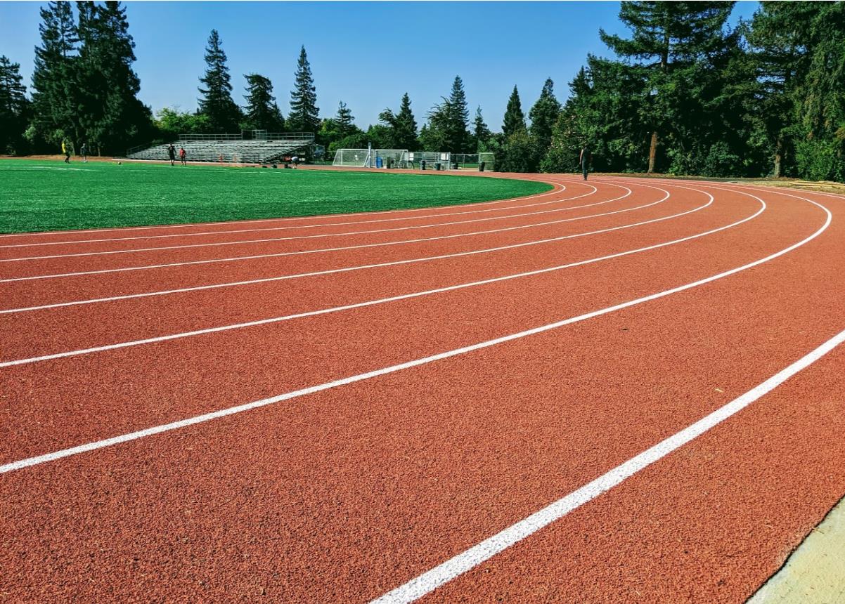 2505 Greer Road Palo Alto, CA 94303 - Photo 60 of 65