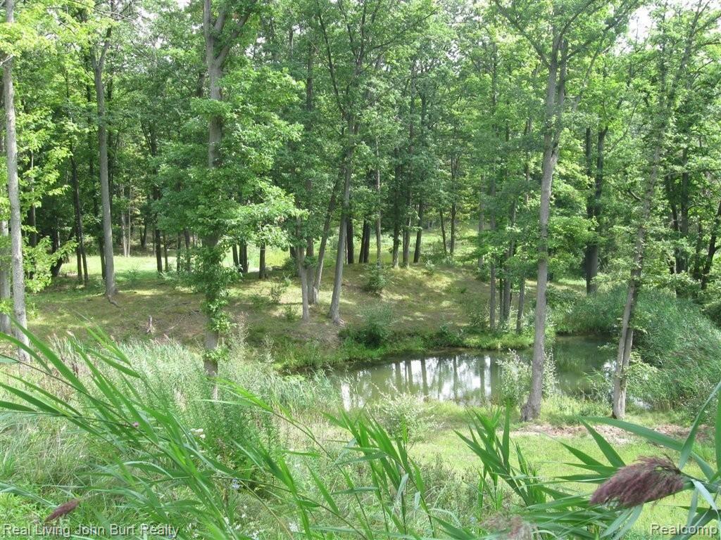 5630 Havens Road Leonard, MI 48367 - Photo 9 of 25 Pond #1