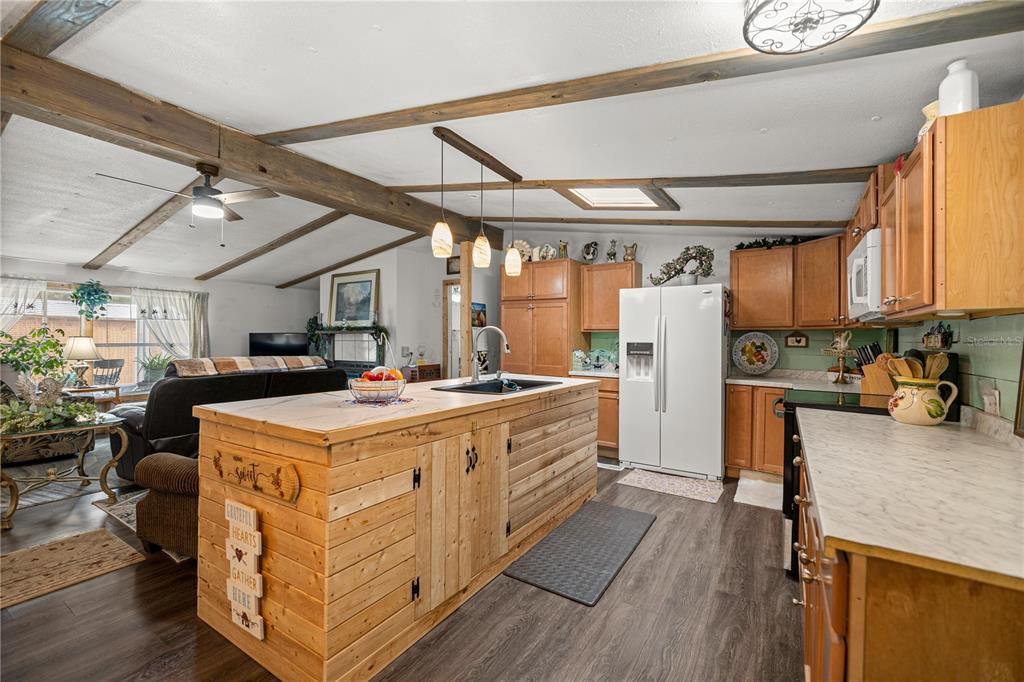 17172 Northeast 37th Terrace Citra, FL 32113 - Photo 17 of 38