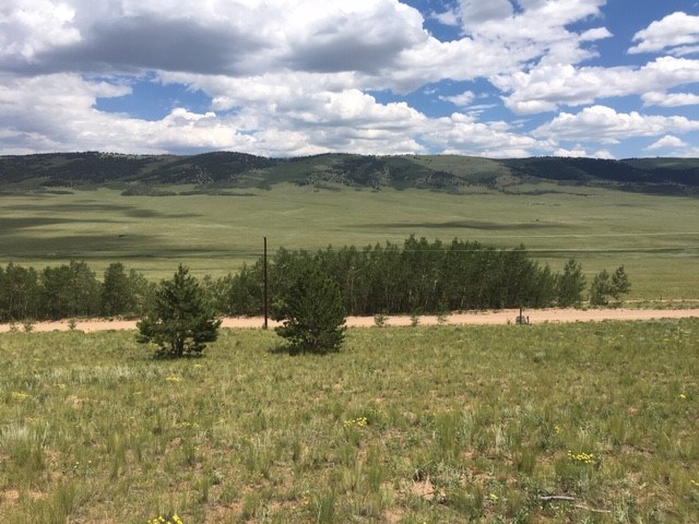3701 Redhill Road Fairplay, CO 80440 - Photo 9 of 17 Gallery Image 9