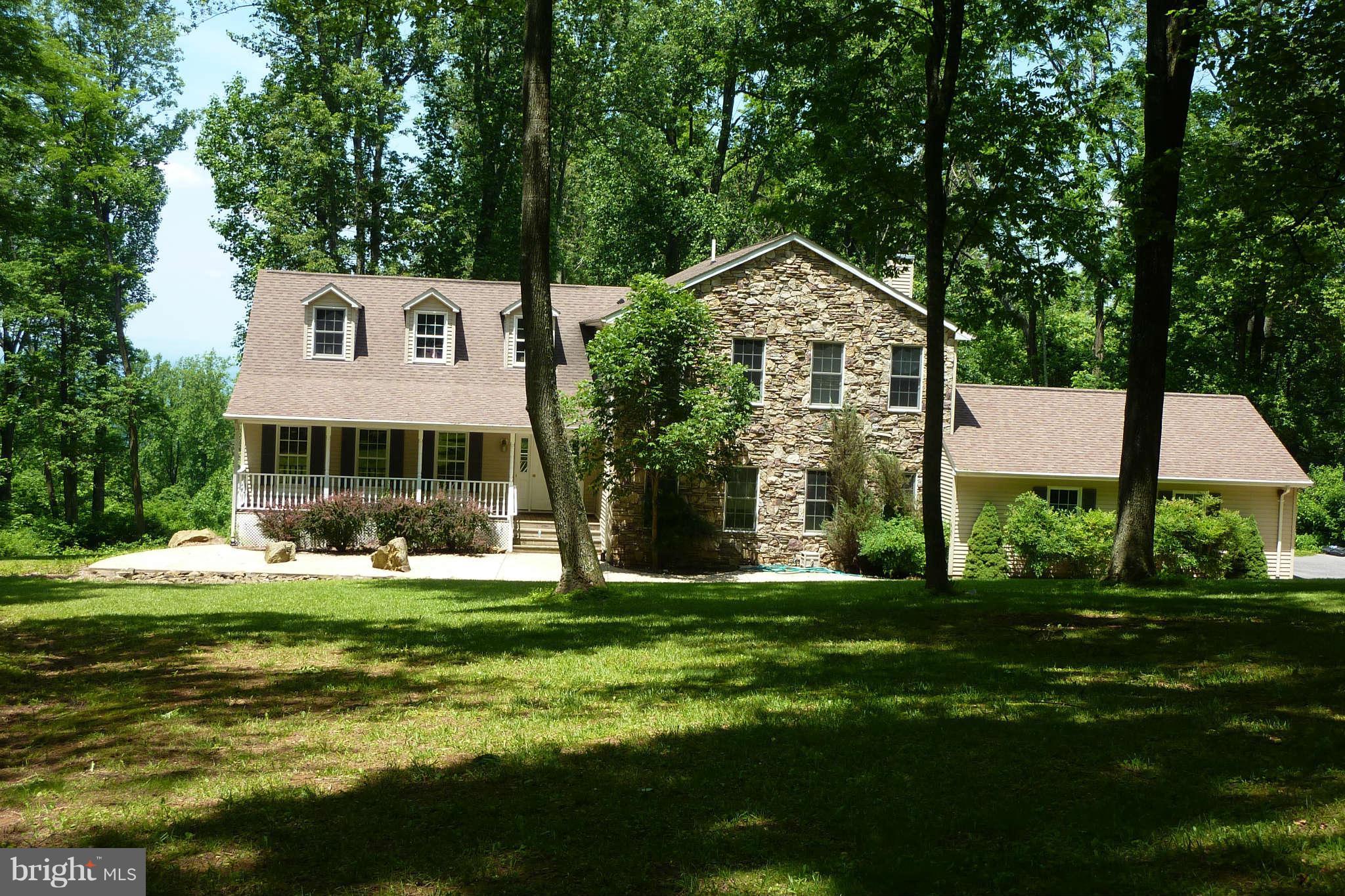 21245 Blue Ridge Mountain Road Paris, VA 20130 - Photo 2 of 28 Exterior (Front)