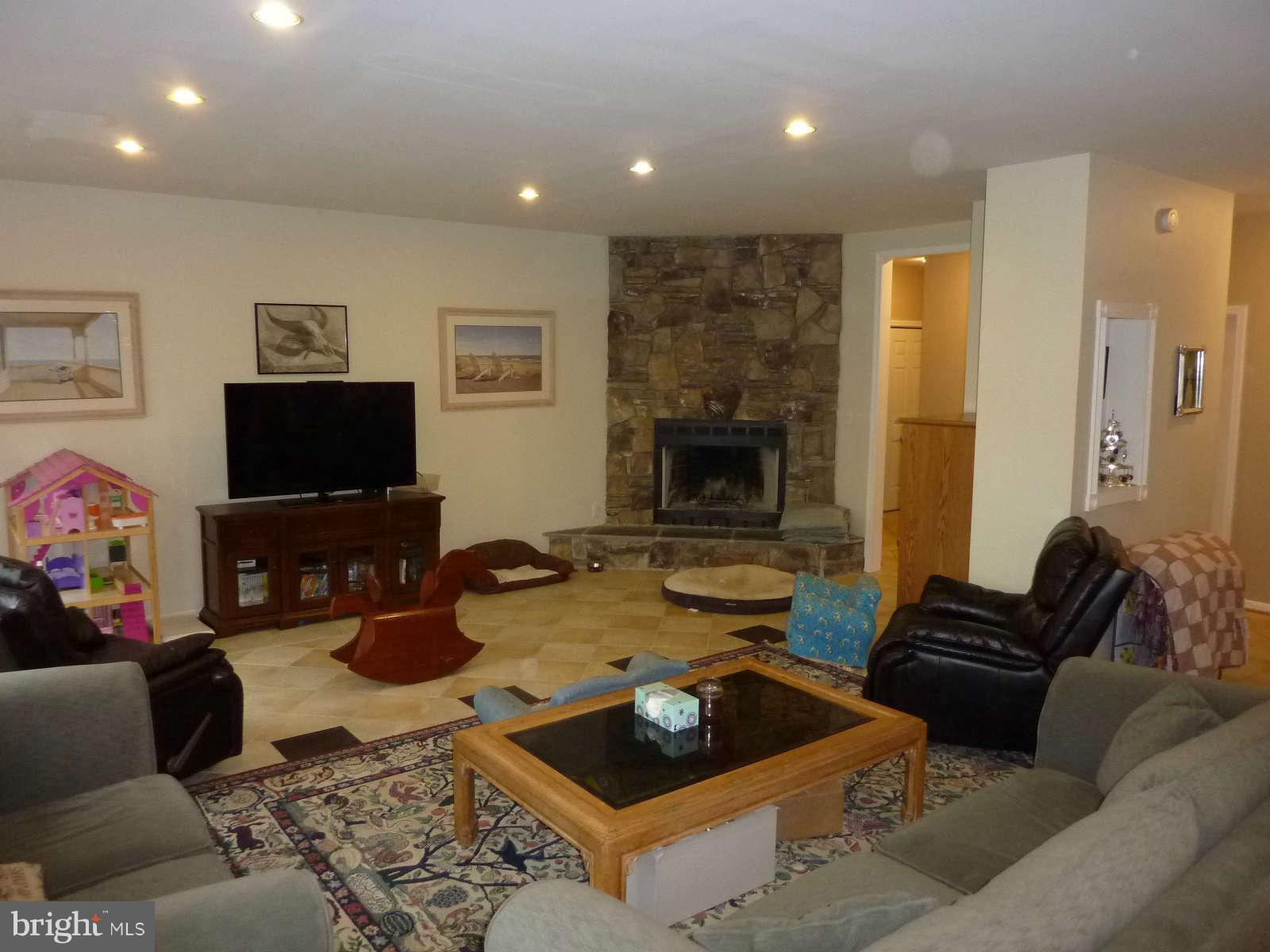 21245 Blue Ridge Mountain Road Paris, VA 20130 - Photo 15 of 28 Family Room