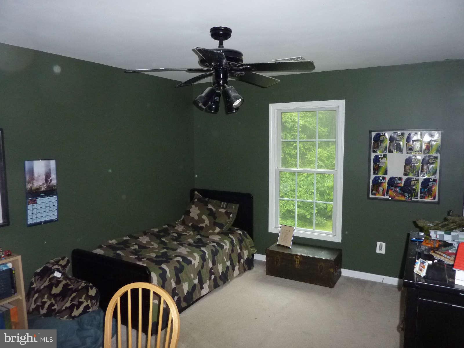 21245 Blue Ridge Mountain Road Paris, VA 20130 - Photo 20 of 28 Bedroom