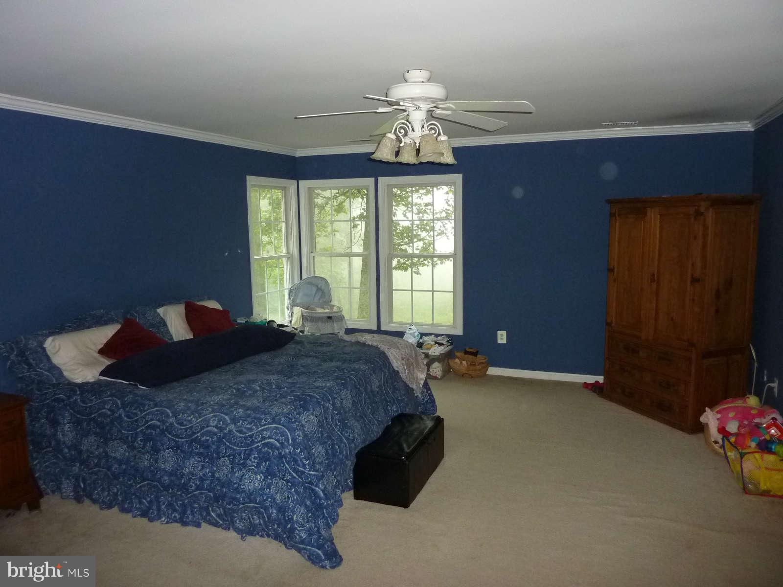 21245 Blue Ridge Mountain Road Paris, VA 20130 - Photo 22 of 28 Bedroom (Master)
