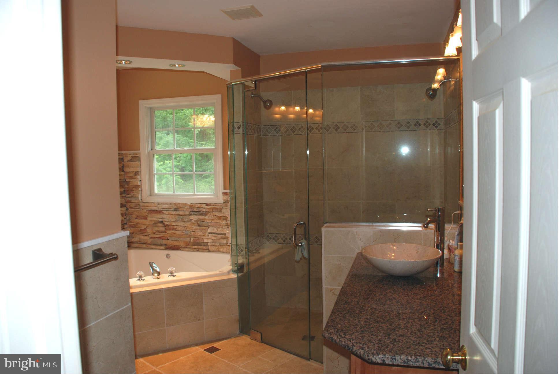 21245 Blue Ridge Mountain Road Paris, VA 20130 - Photo 23 of 28 Bath (Master)