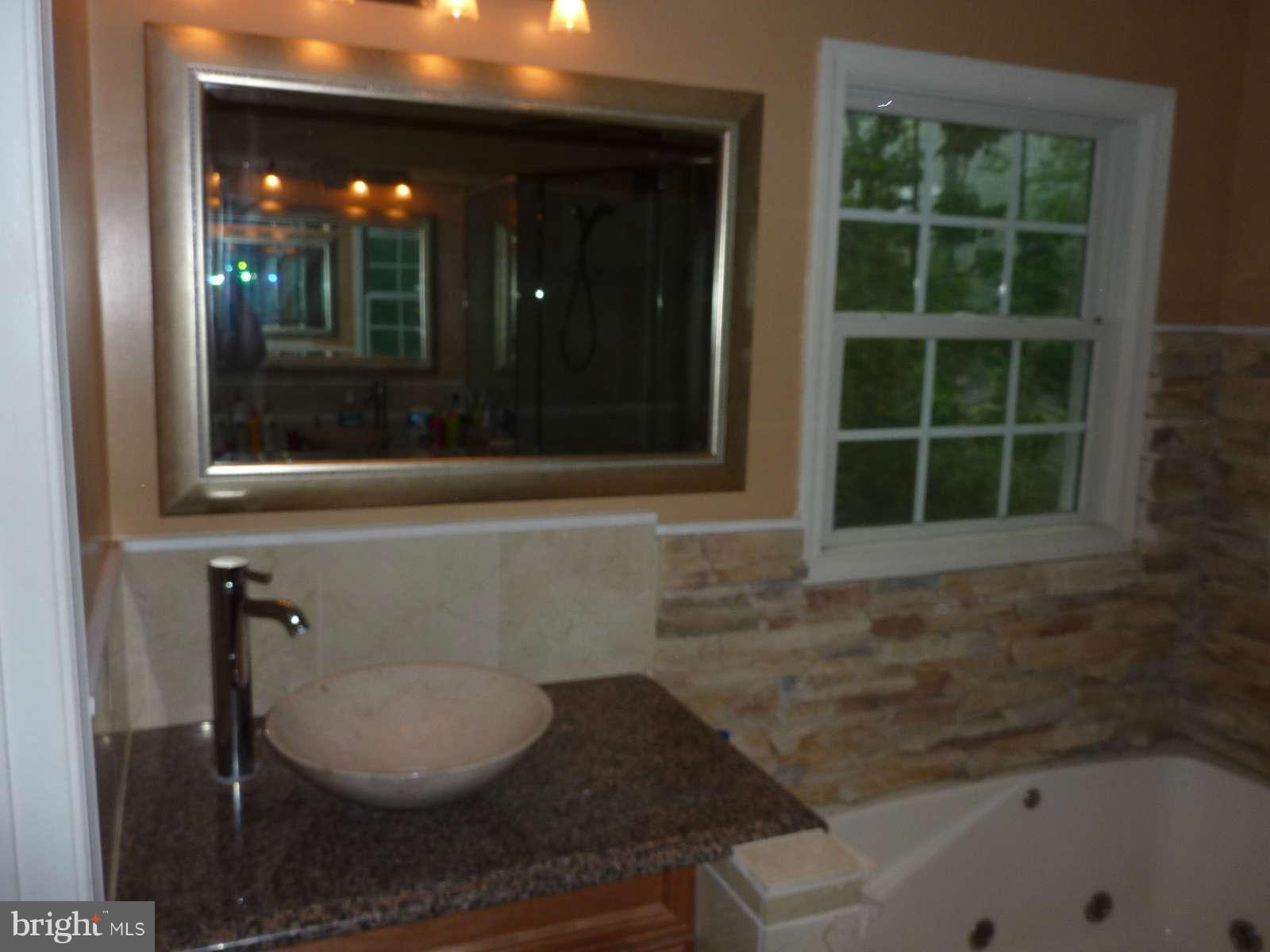 21245 Blue Ridge Mountain Road Paris, VA 20130 - Photo 25 of 28 Bath (Master)