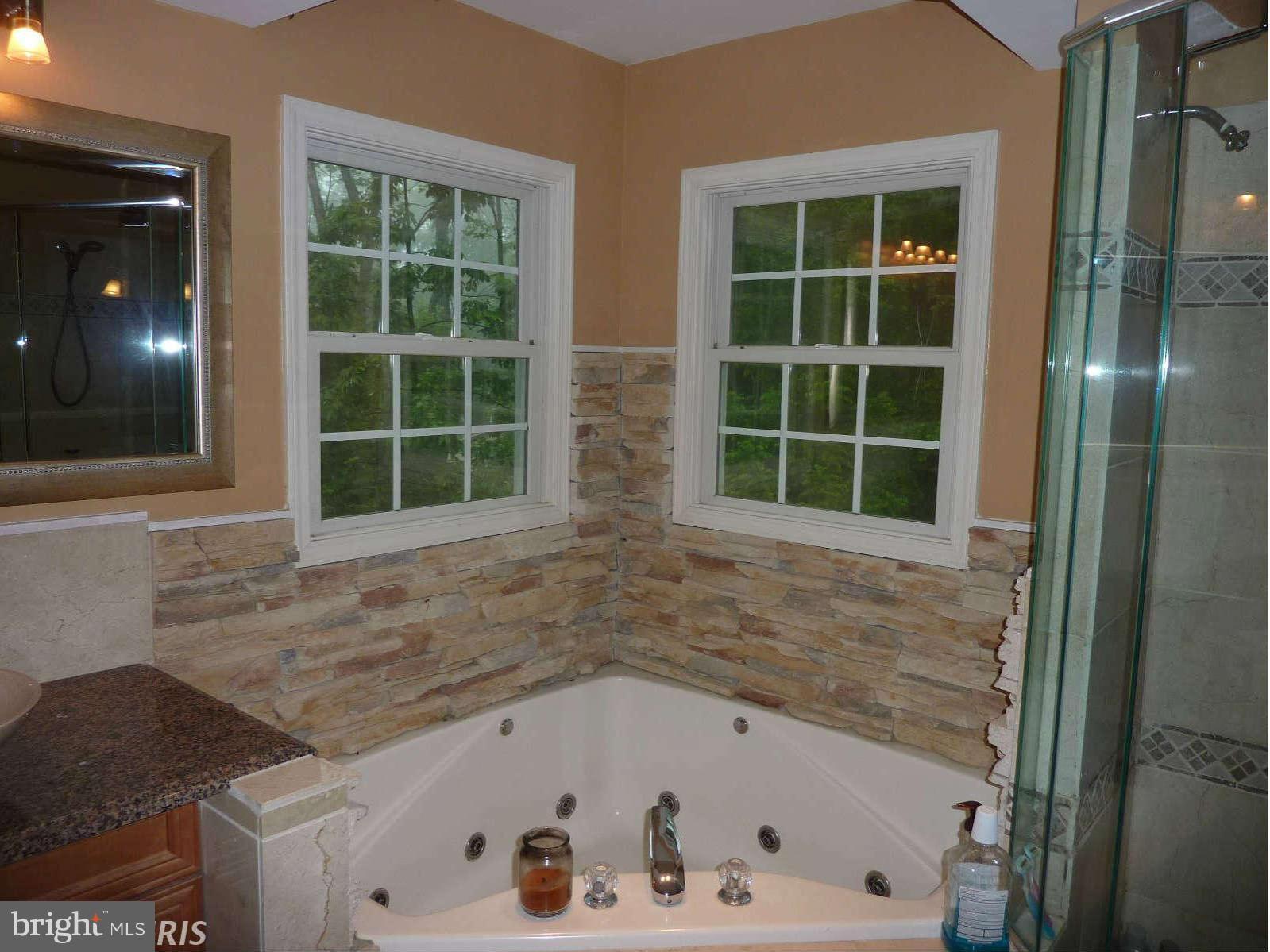 21245 Blue Ridge Mountain Road Paris, VA 20130 - Photo 26 of 28 Bath (Master)