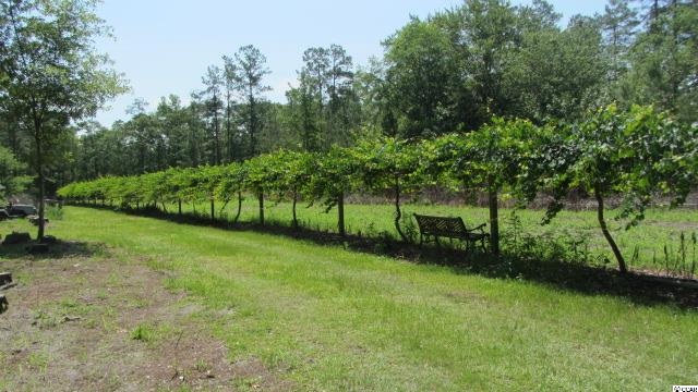 2207 Dows Road Loris, SC 29569 - Photo 19 of 20 Gallery Image 19